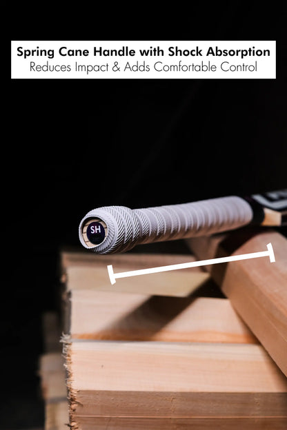 ZAP Pro Kashmir Willow Bat