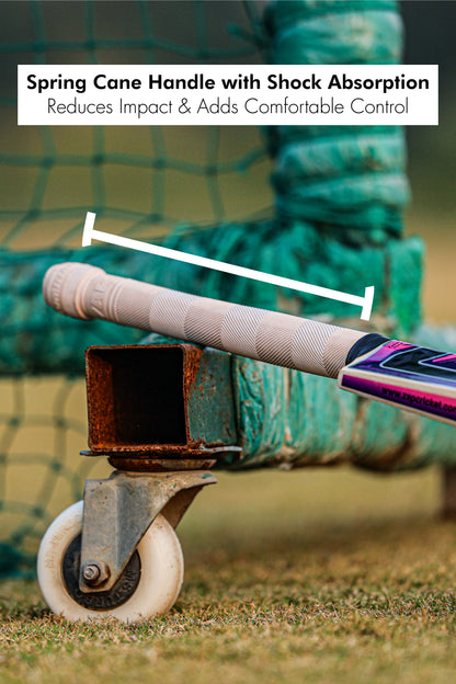 ZAP Pro Kashmir Willow Bat