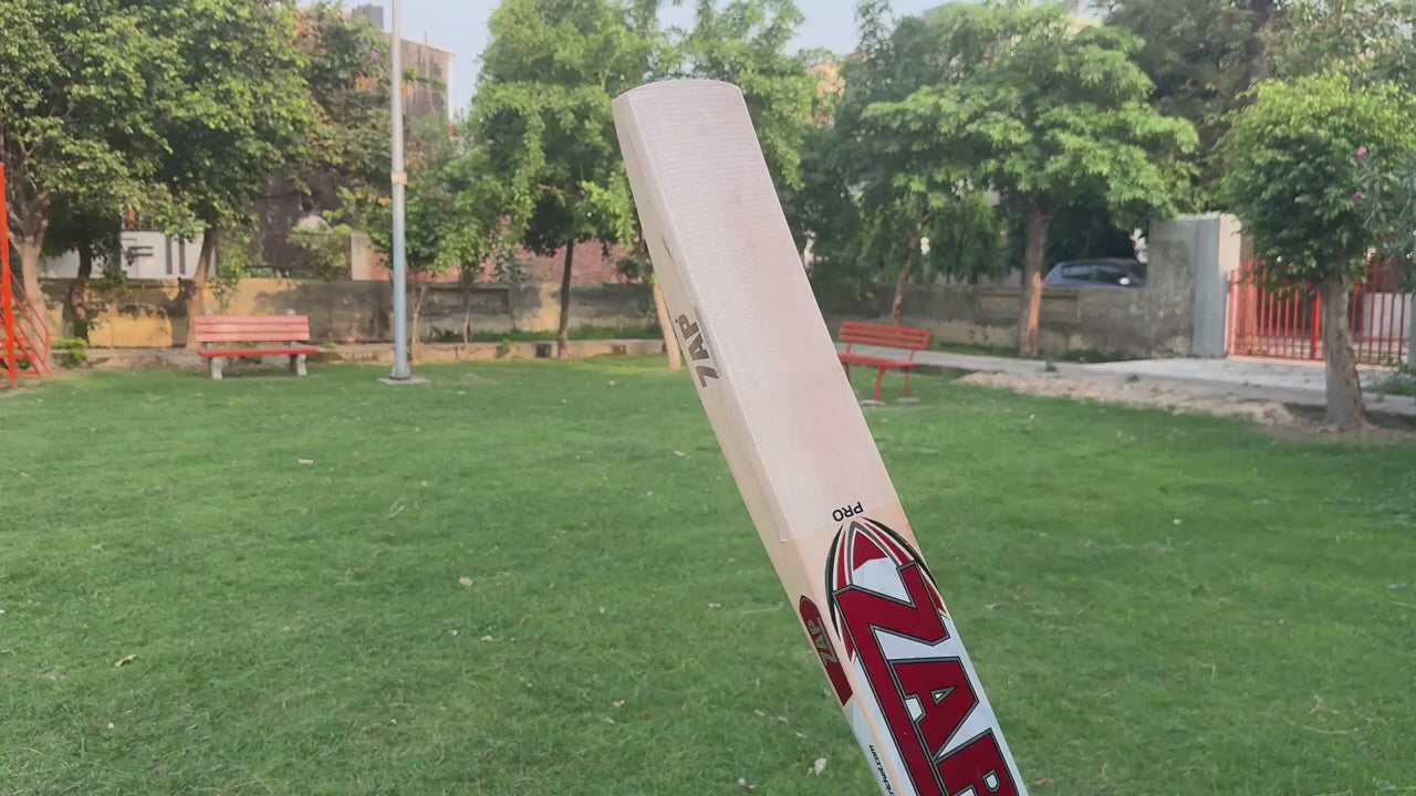 Load video: Crafted from premium-grade Kashmir Willow