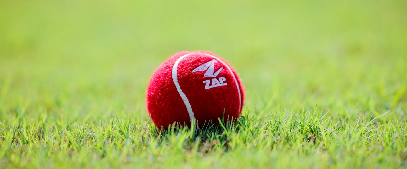 Cricket Tennis Balls