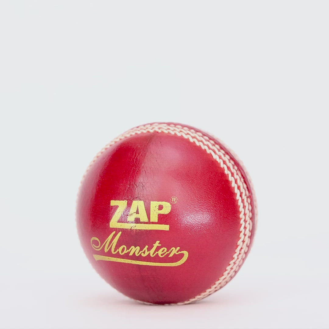 ZAP Monster Cricket Leather Ball